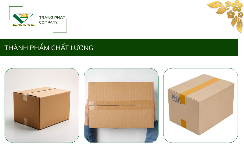 T-PACK – Giải Pháp Đóng Gói Tốc Độ Cho Doanh Nghiệp Việt