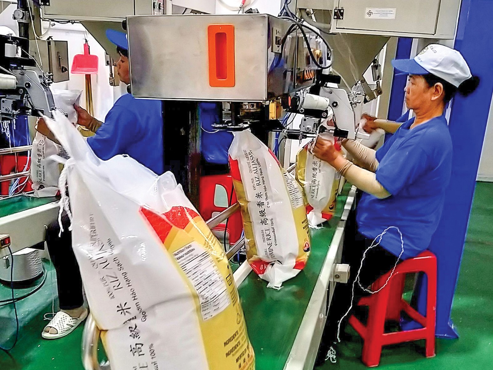 máy hàn miệng túi kết hợp với dây chuyền sản xuất gạo, thực phẩm, bột mì
